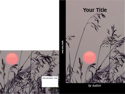 Premade book cover designs