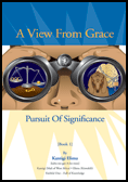 A View From Grace, Pursuit of Significance