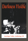 DARKNESS VISIBLE
