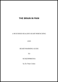 The Brain In Pain