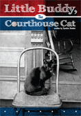 Little Buddy, The Courthouse Cat